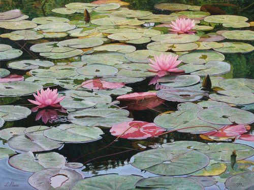 Ninfee / Water Lilies (2010) by Licio Passon