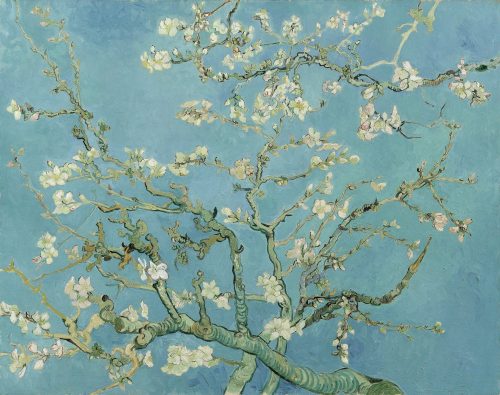 Almond Blossoms (February 1890 - 1890) by Vincent van Gogh