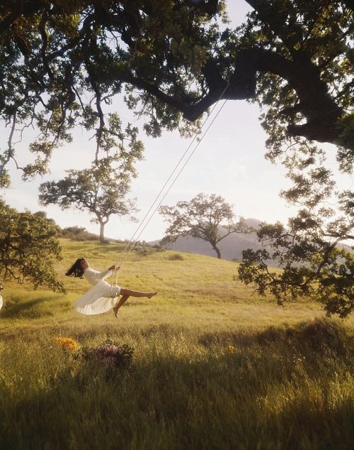 Young Woman Swinging On Rope Swing Tied by Tom Kelley Archive