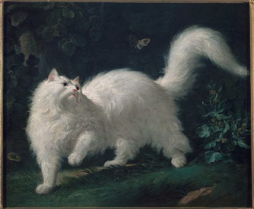 White Angora Cat Chasing a Butterfly (1761) by Jean-Jacques Bachelier