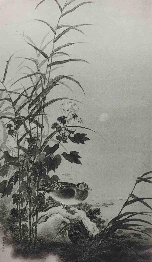 Solitary Duck in Spring Scenery (1904) by Komuro Suiun