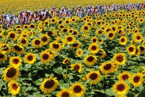 Tour De France 2009 Stage Eleven by Jasper Juinen